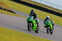 PJ-Motorsport-2019;anglesey-no-limits-trackday;anglesey-photographs;anglesey-trackday-photographs;enduro-digital-images;event-digital-images;eventdigitalimages;no-limits-trackdays;peter-wileman-photography;racing-digital-images;trac-mon;trackday-digital-images;trackday-photos;ty-croes